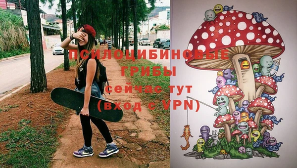 соль курить ск Кодинск