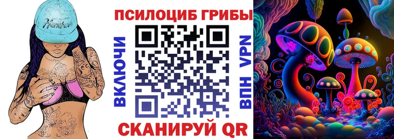 Галлюциногенные грибы Psilocybine cubensis  купить   Красавино 